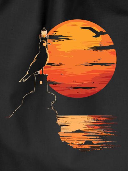 Seagull Seabird Lighthouse Sunset