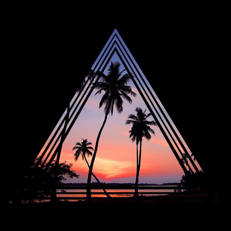 Palm trees in the sunset