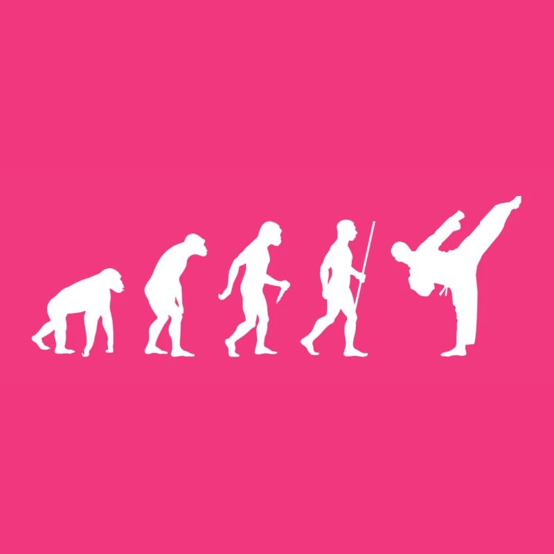 2563 Evolution Karate