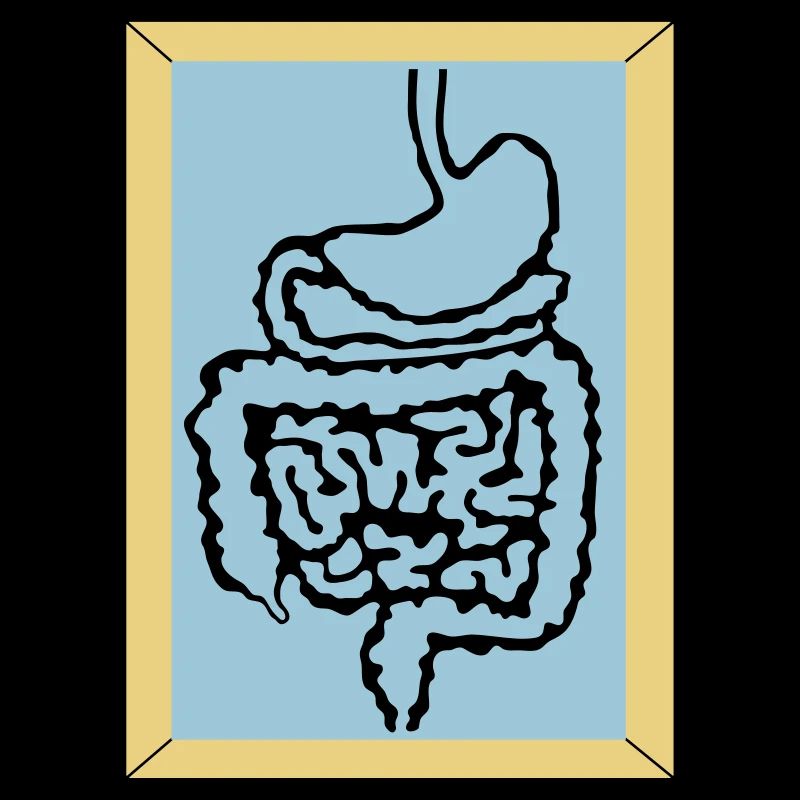 medizinischer Darm 2 d1