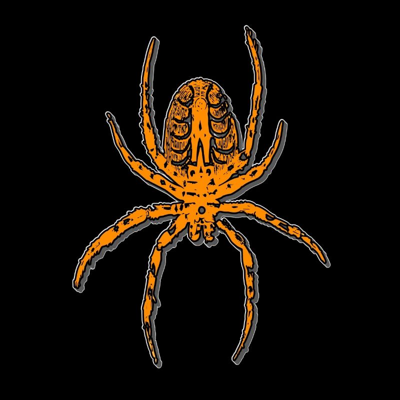 Spider crawling, arachnophobia