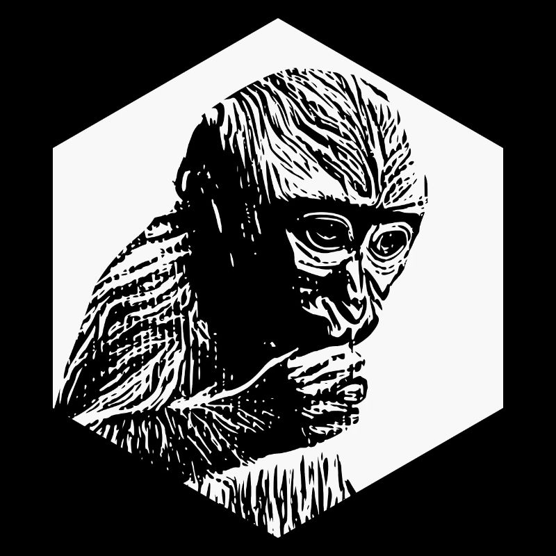 Monkey thoughtful hexagon