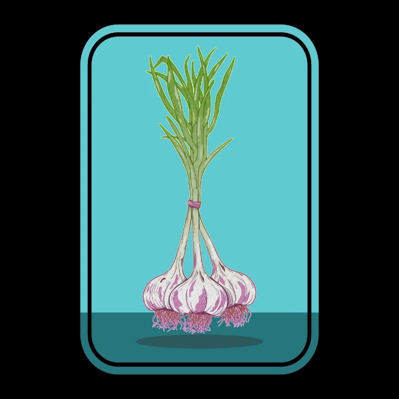 Bund Knoblauch