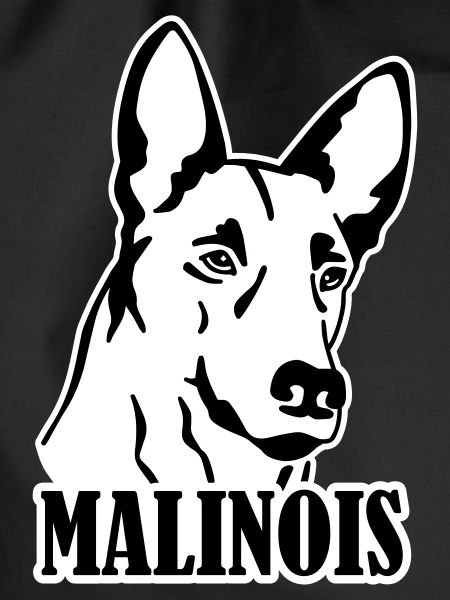 Malinois