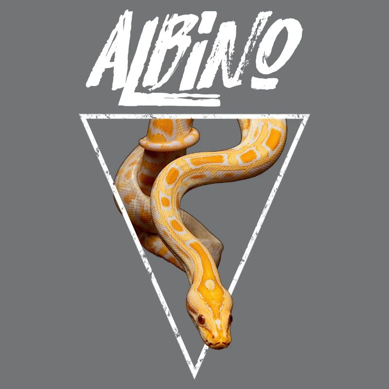 Propriétaire de serpent Python birman