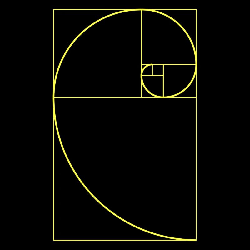 Fibonacci | Mathématiques, géométrie, designs cool
