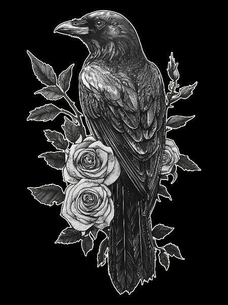 Raven