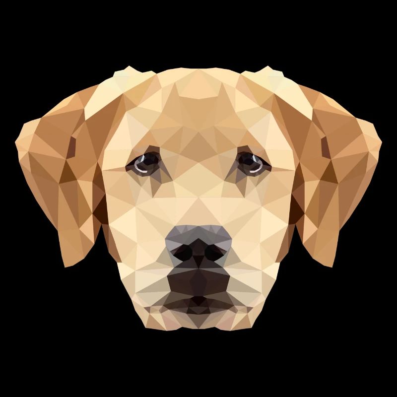 Dog Labrador Polygon
