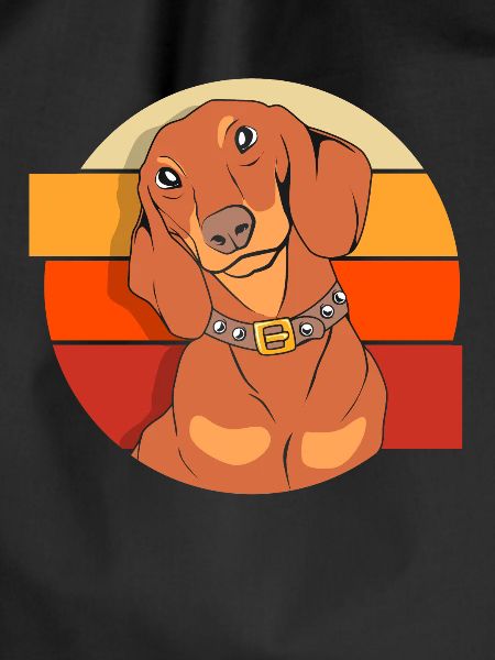 Dachshund