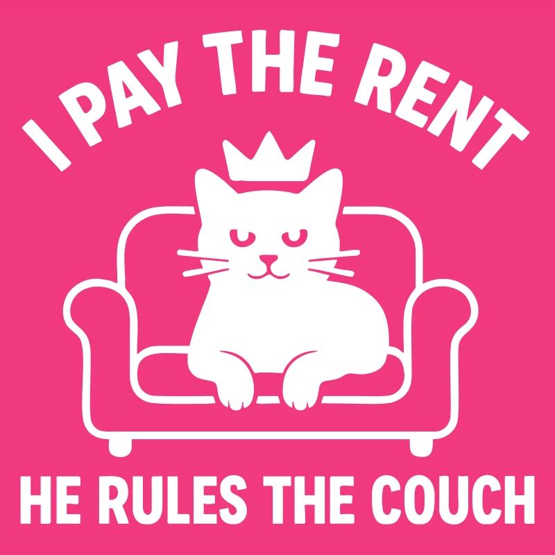 Chat humour Roi du canapé