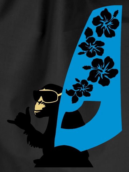 windsurfer
