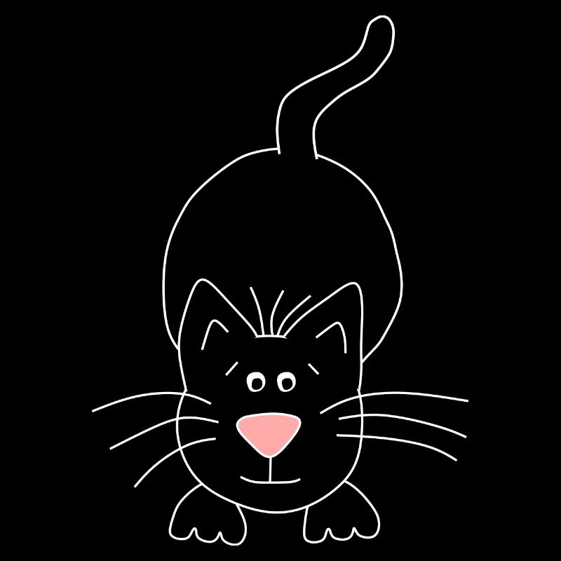 chat noir