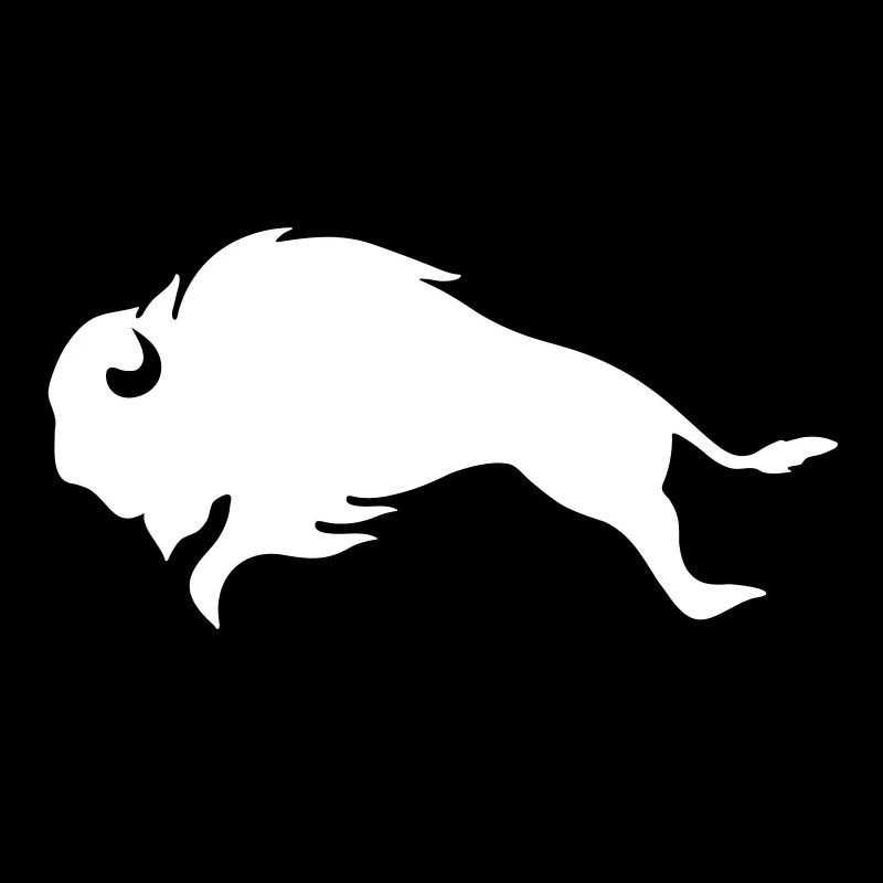 BISON BULL Bufallo