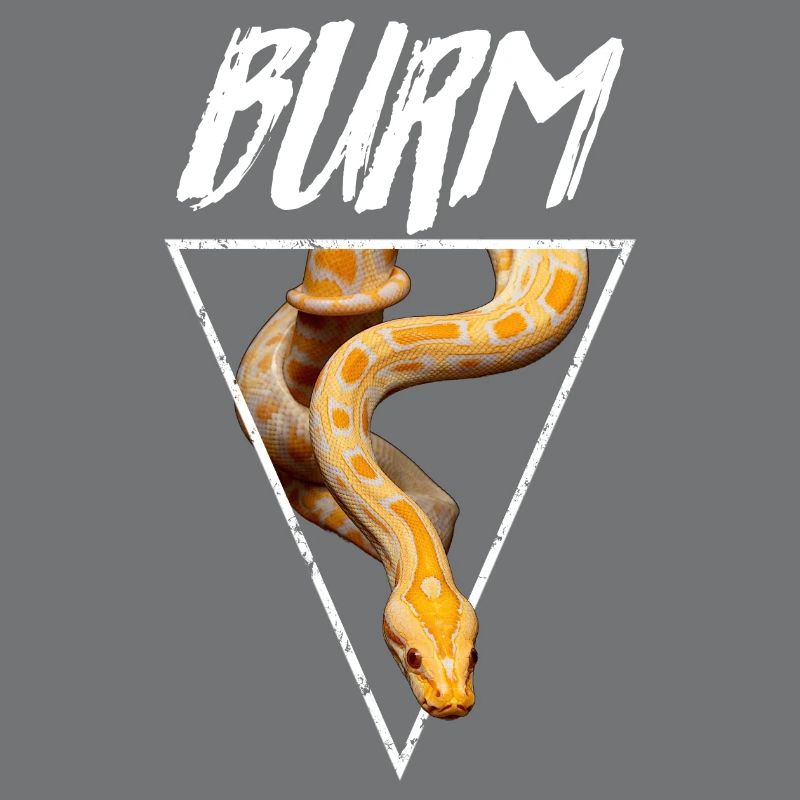 Albino Birmese Python Snake Owner