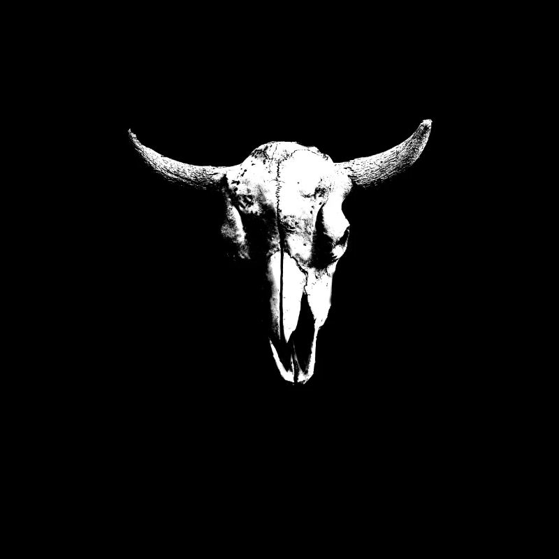 skull Schädel Bull head Bones