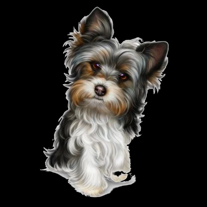 Süßer Hund