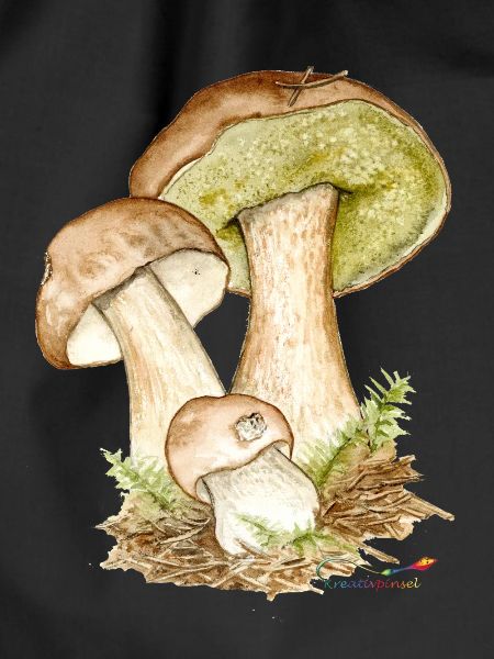 Boletus