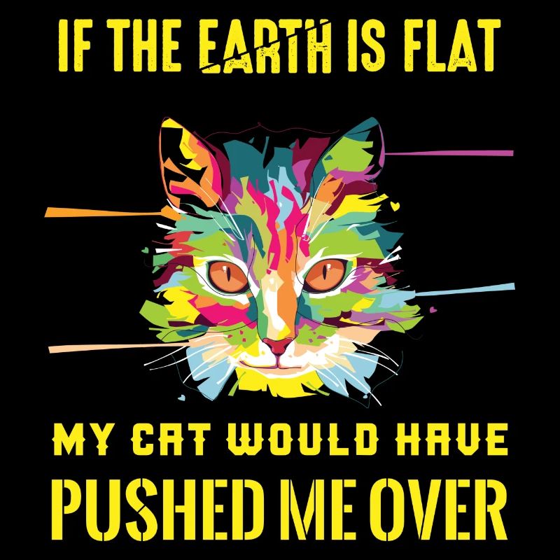 Katze Katzen Cat