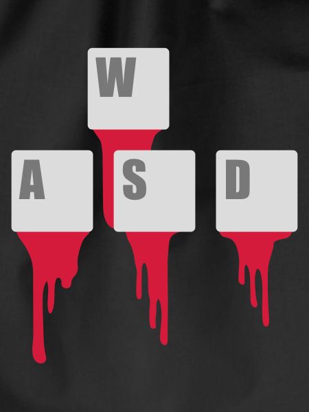 WASD Keyboard Keys Gamer