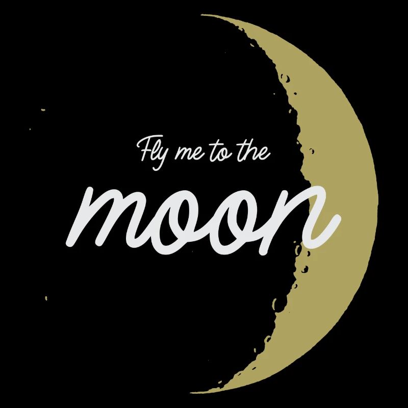 Fly me to the moon