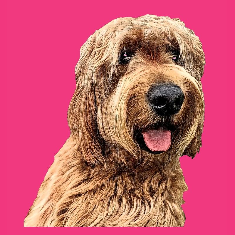 Otterhound 2