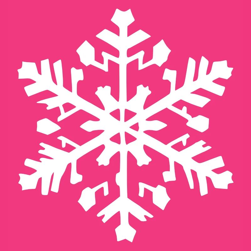 Snowflake Snow Winter Christmas Vector 10