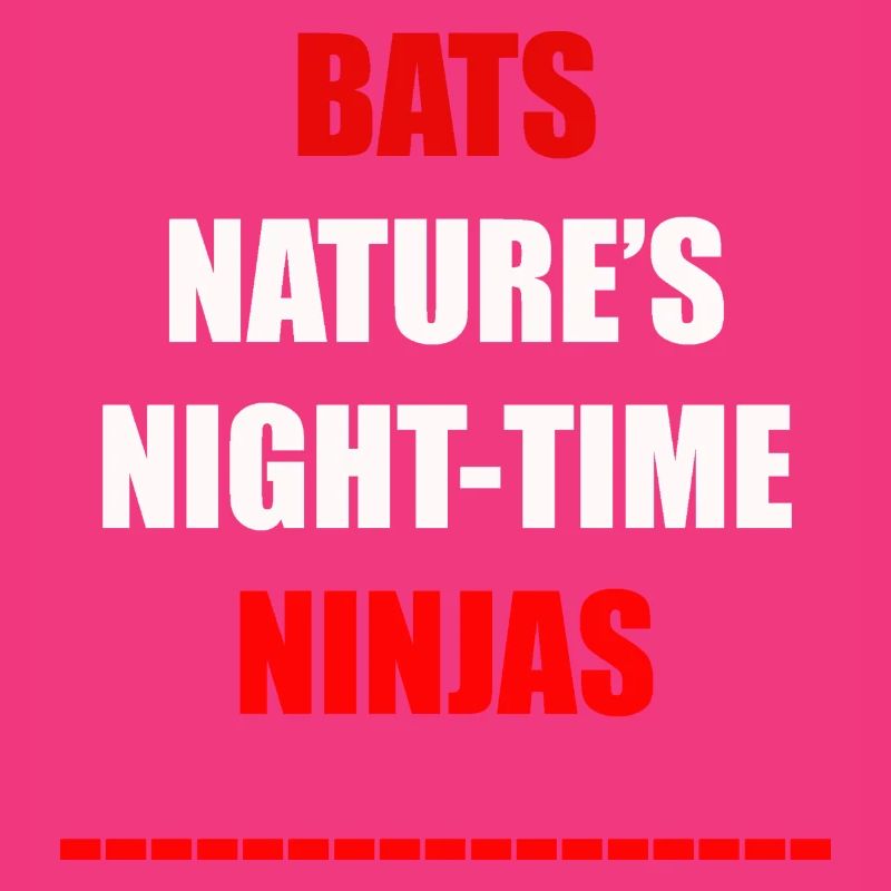 Bats Nature's Night Time Ninjas