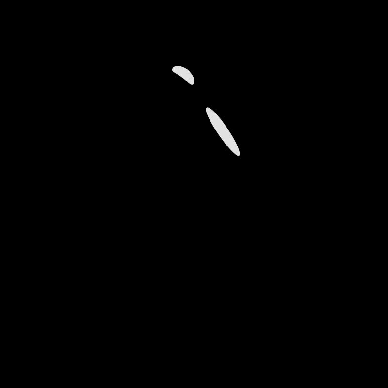 scarabée coléoptère / beetle (2c)