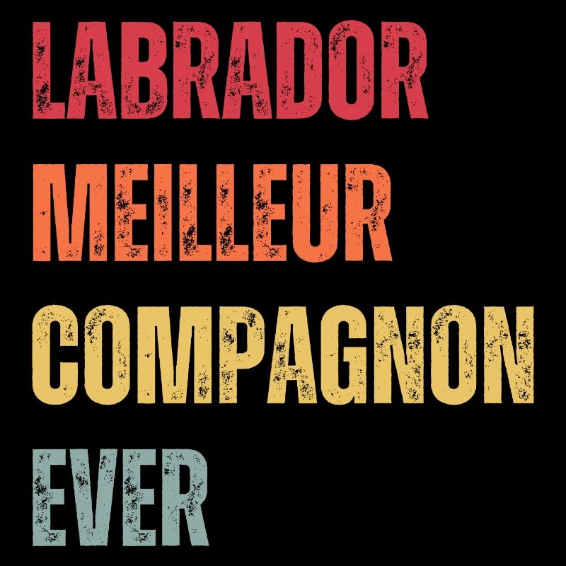 LABRADOR MEILLEUR COMPAGNON EVER