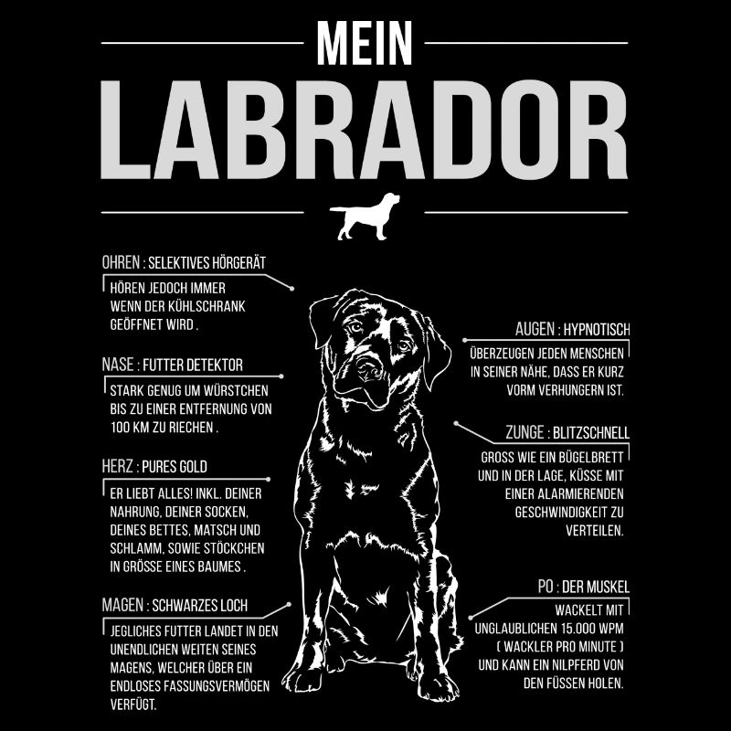 LABRADOR ANATOMIE Wilsigns Retriever Labbi Lab