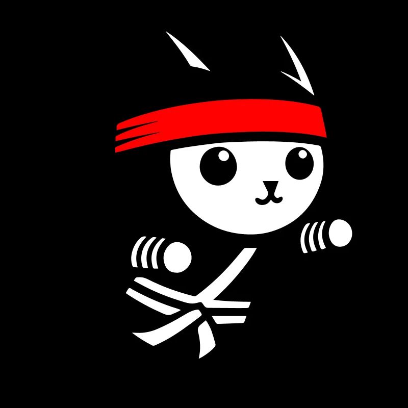 Chat ninja