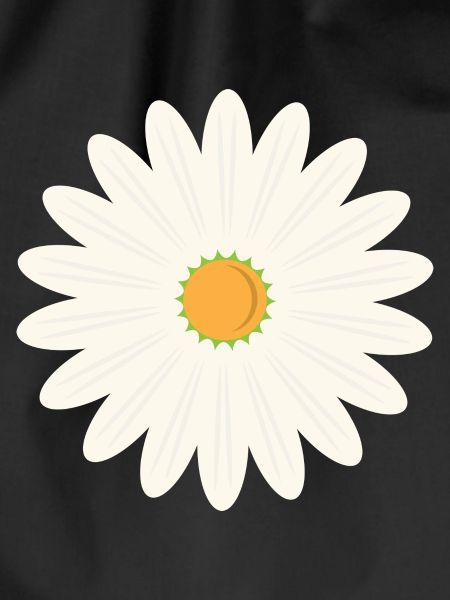 Margerite blossom