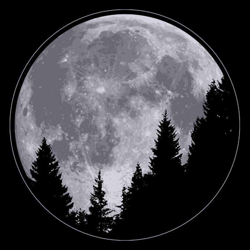 Moon - Trees - Night Sky