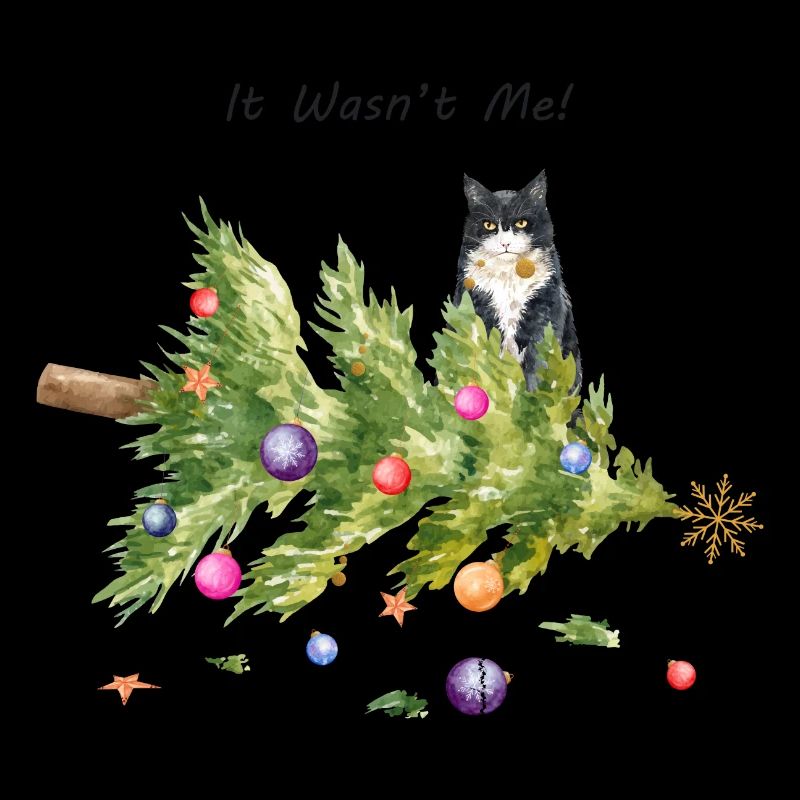 Ce n’était pas moi chat Noël