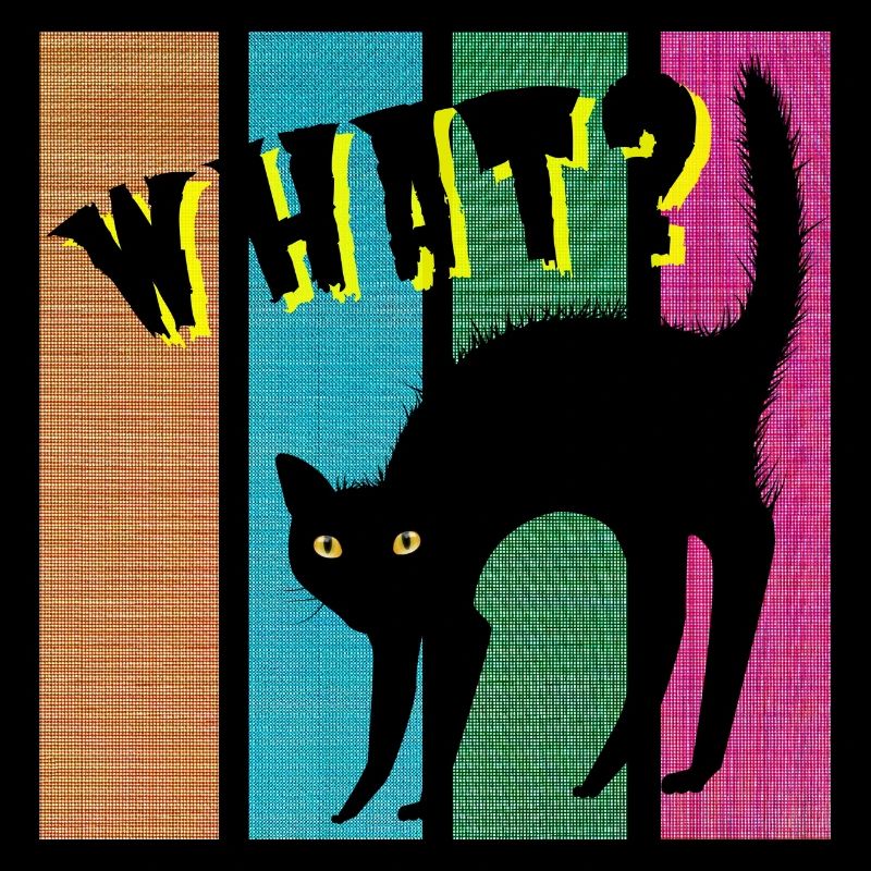 What? cat