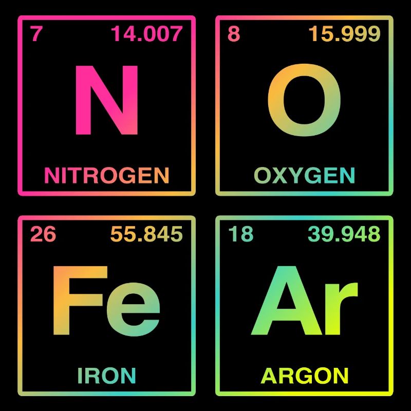 NO FEAR - avec des éléments du système de perdiode