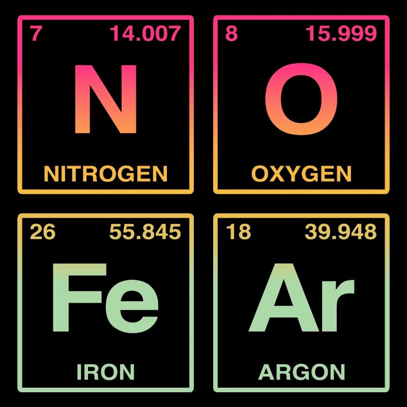NO FEAR - avec des éléments du système de perdiode