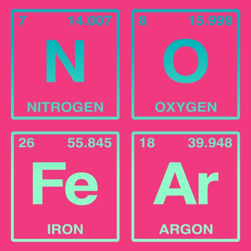 NO FEAR - avec des éléments du système de perdiode