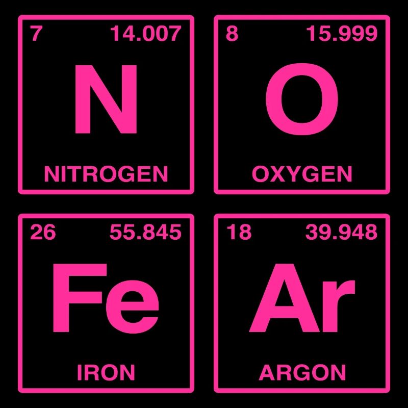 NO FEAR - with elements of the perdiode system