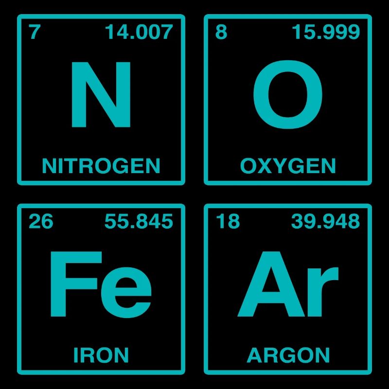 NO FEAR - with elements of the perdiode system