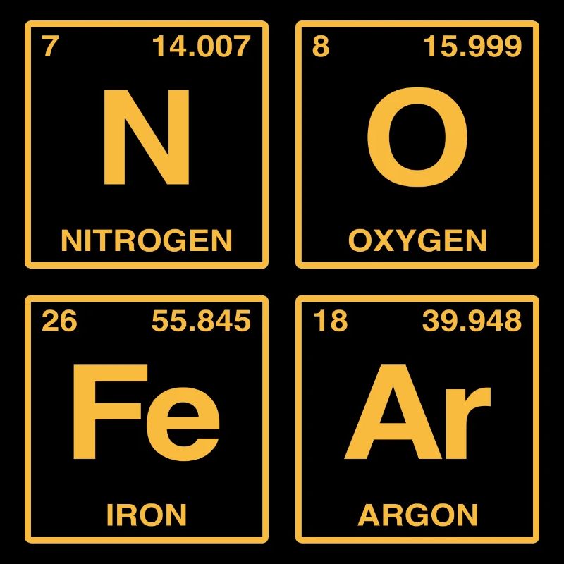 NO FEAR - with elements of the perdiode system