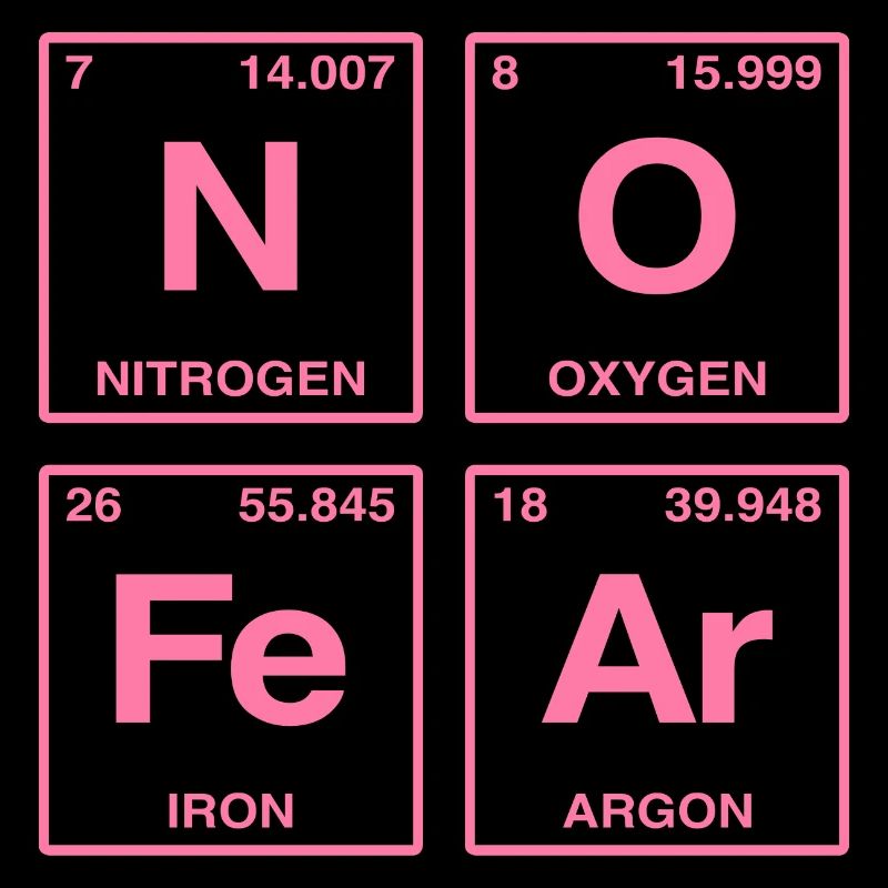 NO FEAR - with elements of the perdiode system