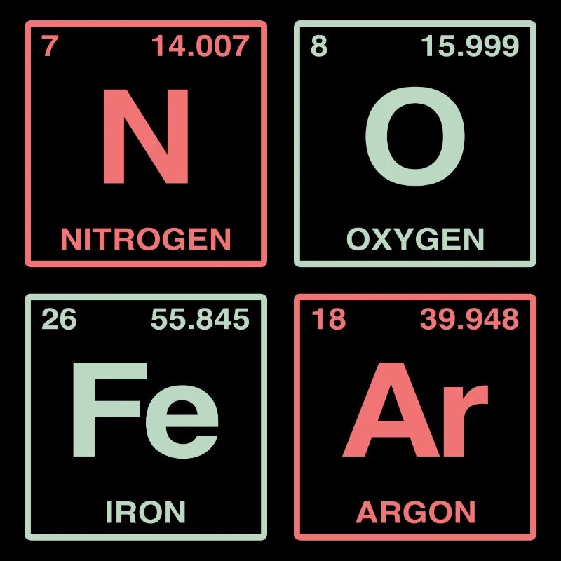 NO FEAR - with elements of the perdiode system