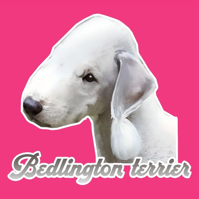 Bedlington terrier