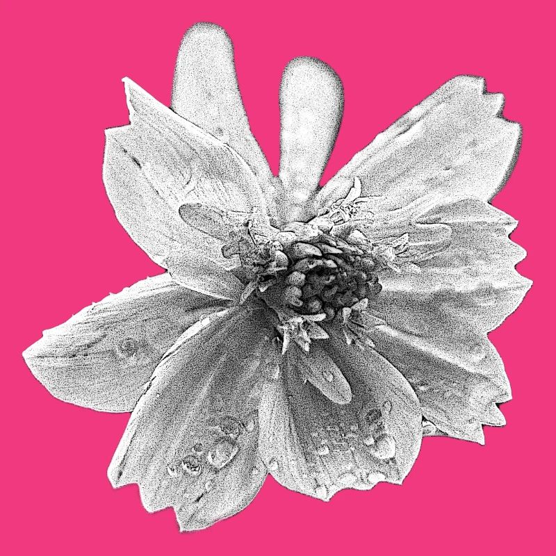 fleur