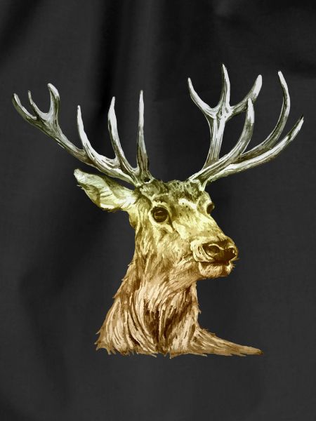 Hirsch