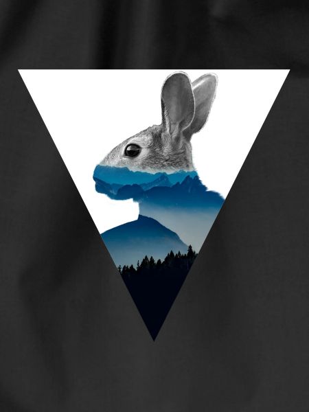 Hase