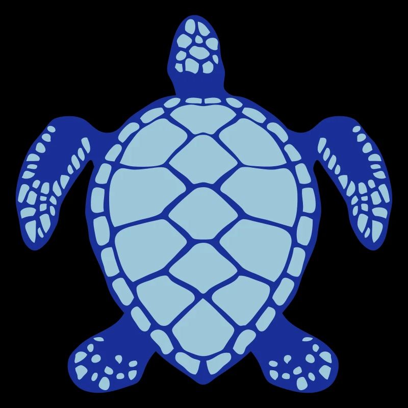 sea turtle animals 60