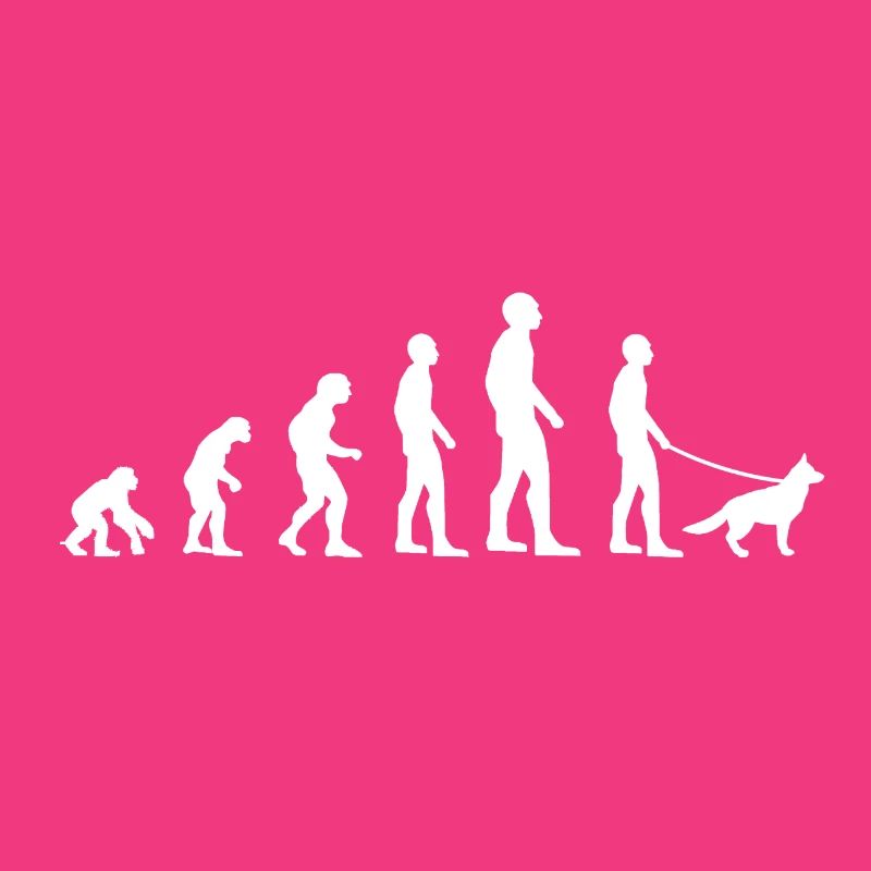 Dogs Evolution