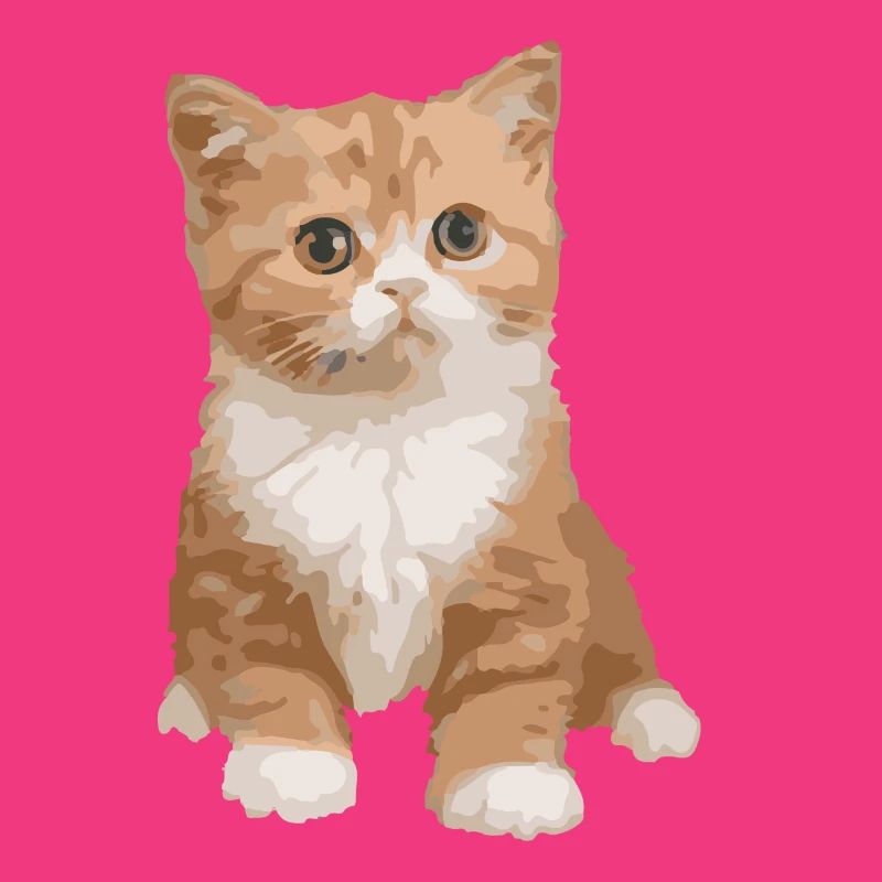 cat - cat